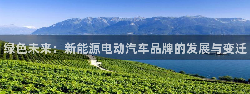 摩根娱乐金光