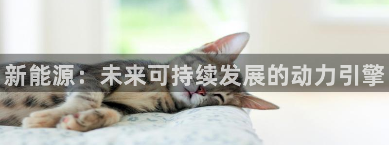 摩根娱乐宝k线图