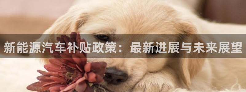 临平摩根娱乐会所地址