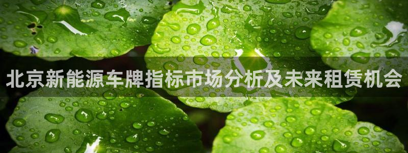 义务摩根娱乐会所