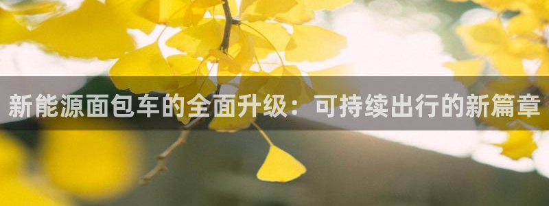 义务摩根娱乐会所