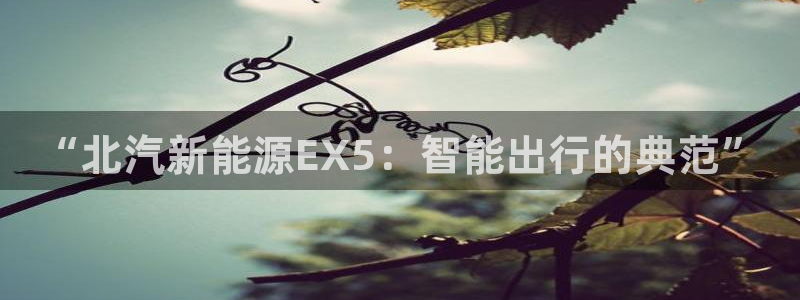 义乌摩根娱乐会所电话