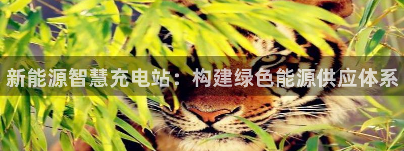 摩根国际娱乐宝：新能源智慧充电站：构建绿