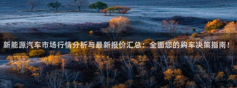 摩根娱乐黑别人网站：新能源汽车市场行情分