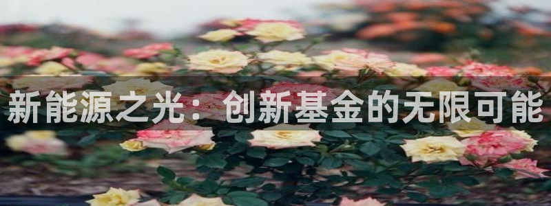 摩根中央公园娱乐：新能源之光：创新基金的