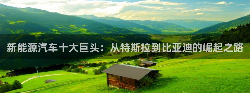 摩根说娱乐：新能源汽车十大巨头：从特斯拉