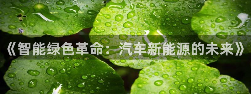 重生娱乐美日混血摩根