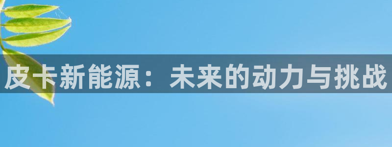 泉州摩根会娱乐张桂花