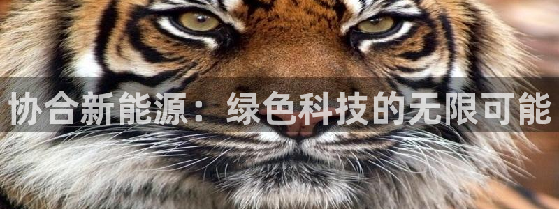 泉州摩根会娱乐场所