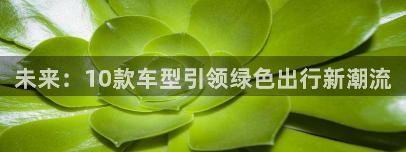 摩根娱乐公会创始人