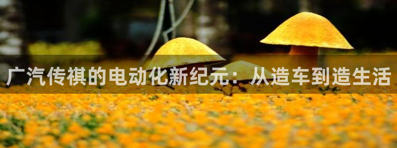 摩根娱乐黑台