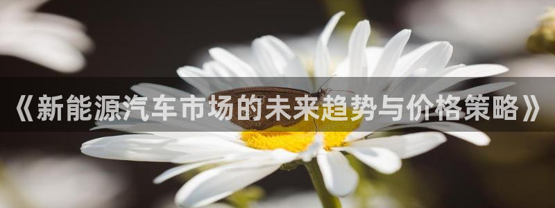 摩根娱乐 1老j板50820：《新能源汽