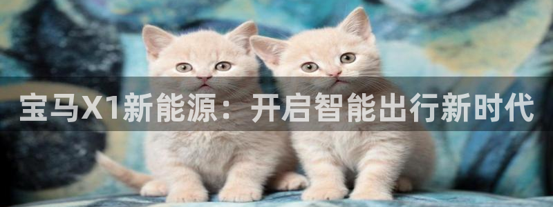 义乌摩根娱乐会所消费