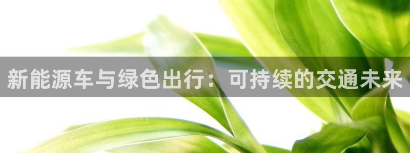 摩根娱乐挂机项目怎么样