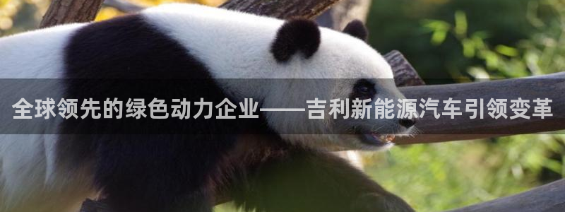 白宫摩根会娱乐有限公司