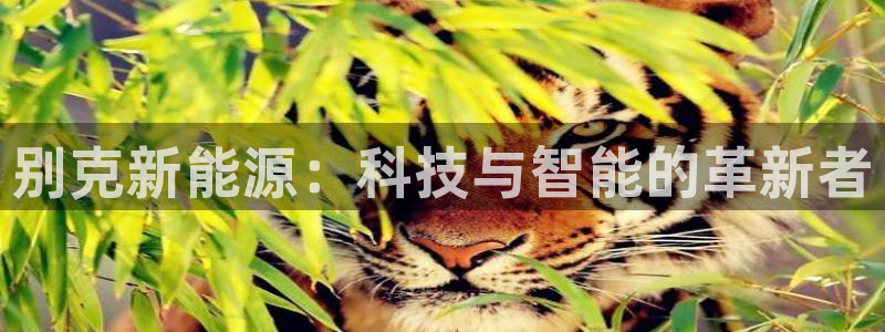 摩根国际娱乐会所