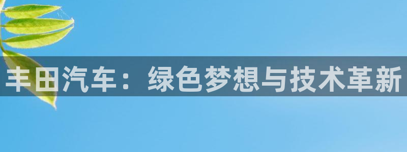 华视娱乐 摩根 王琛