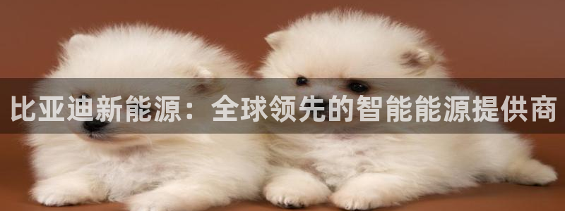 摩根娱乐彩票挂机：比亚迪新能源：全球领先