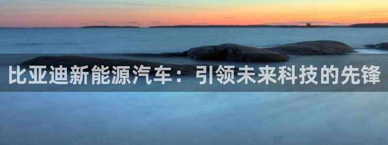 义乌摩根娱乐会所小费：比亚迪新能源汽车：