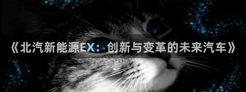 摩根娱乐1老H板50820