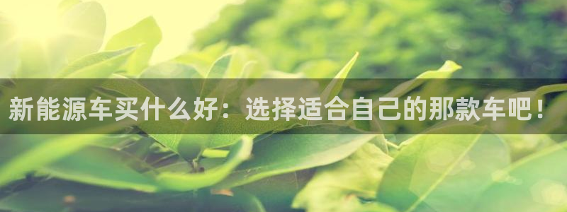 摩根在娱乐圈爆红