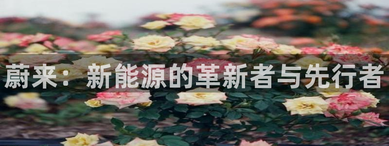摩根360休闲娱乐