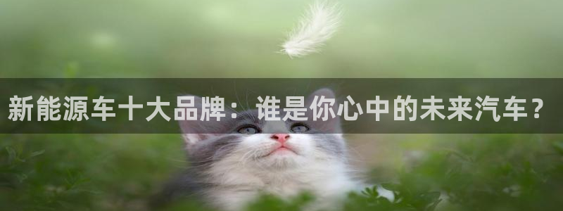 摩根娱乐宝是合法吗：新能源车十大品牌：谁