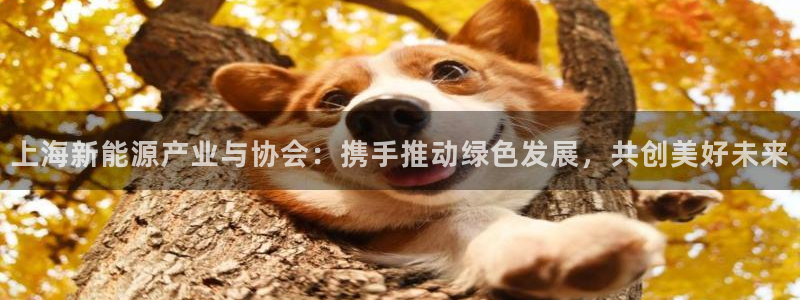 摩根娱乐宝招商：上海新能源产业与协会：携