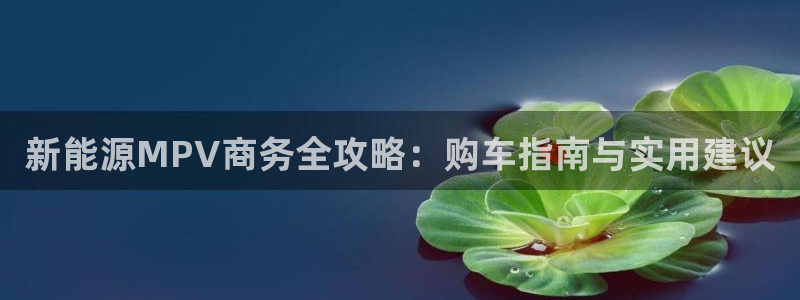 白宫摩根娱乐会所