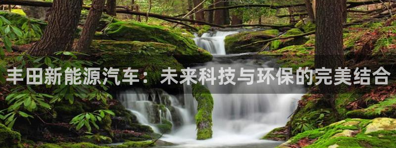 白宫摩根娱乐会所