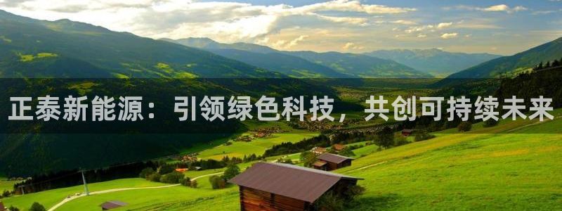 嘉兴摩根大饭店 娱乐：正泰新能源：引领绿
