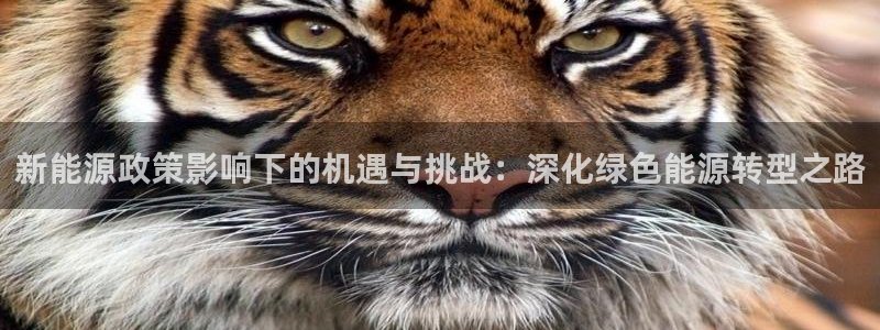 主角是摩根家族的娱乐文：新能源政策影响下