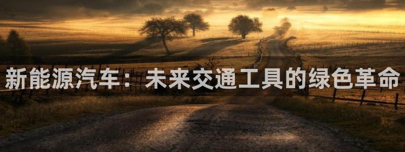 摩根娱乐宝打不开：新能源汽车：未来交通工